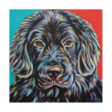 Trademark Fine Art Carolee Vitaletti 'Canine Buddy I' Canvas Art, 24x24 WAG16453-C2424GG